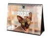 Finocam - Internationale bureaukalender 2025, 1 maand per pagina, januari 2025 – december 2025 (12 maanden) internationale katten
