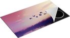 Chefcare Inductie Beschermer Silhouet Vogels tijdens Zonsondergang - 90x55 cm - Afdekplaat Inductie - Kookplaat Beschermer - Inductie Mat