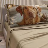 PETTI Artigiani Italiani - Beddengoed dieren met honden van katoen met kussenslopen in digitale print, beddengoed voor Frans bed, 100% Made in Italy