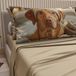 PETTI Artigiani Italiani - Beddengoed dieren met honden van katoen met kussenslopen in digitale print, beddengoed voor Frans bed, 100% Made in Italy