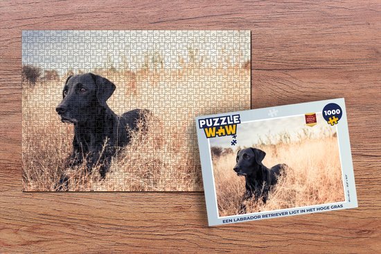 MuchoWow Puzzel Een Labrador Retriever ligt in het hoge gras - Legpuzzel - Puzzel 1000 stukjes volwassenen