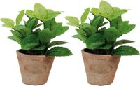 True to Nature Esschert Design Kunstplant/kruiden munt - 2x stuks - in oude terracotta pot - 16 cm - kruiden