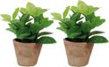 True to Nature Esschert Design Kunstplant/kruiden munt - 2x stuks - in oude terracotta pot - 16 cm - kruiden
