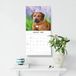 Red Robin Rhodesian Ridgeback Kalender 2027
