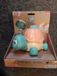 Playgo Play Schildpad Speelgoed - Lopende Schildpad met Drukknop - Educatief.