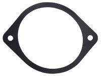 SEAL EGR KLEP