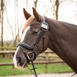 QHP Startnummer Ricki Bruin/Goud - One size