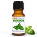 Basilicum Laborbio Basilicum Bio Etherische olie 100% Pure 10 ml - Aromatherapie Therapeutisch Cosmetische