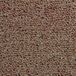 MonsterShop 20 x Tapijttegels - Tapijt tegel set - 50x50cm 5m2 - Zand