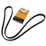 CONTITECH 5PK1546 V-riem