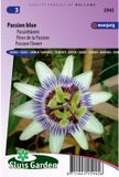 Sluis Garden Passiebloem Passion Blue