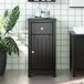 Prolenta Maison Exclusive - Armoire De Salle De Bain Berg Noir 40x34x80 Cm Pin Massif
