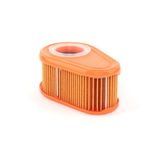 Briggs & Stratton Briggs and Stratton Origineel 792038 luchtfilterfilter