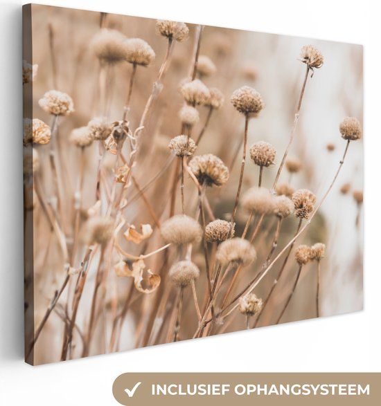 OneMillionCanvasses Canvas schilderij 160x120 cm - Droogbloemen - Beige