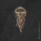 Cold Midas Fall - Cold Waves Divide Us (LP) (Limited Edition) (Coloured Vinyl)