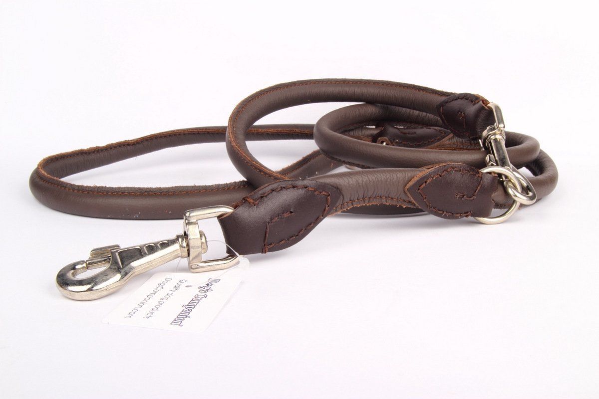 Dog's Companion Leren Hondenriem - 220 cm x 10 mm - Bruin
