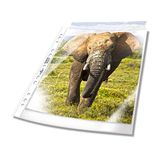 Durable brochurehoes A4 extra breed, 240x310 mm, 90my, transparant, 50 st.