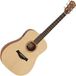 Taylor Guitars Taylor Academy 10e Natural