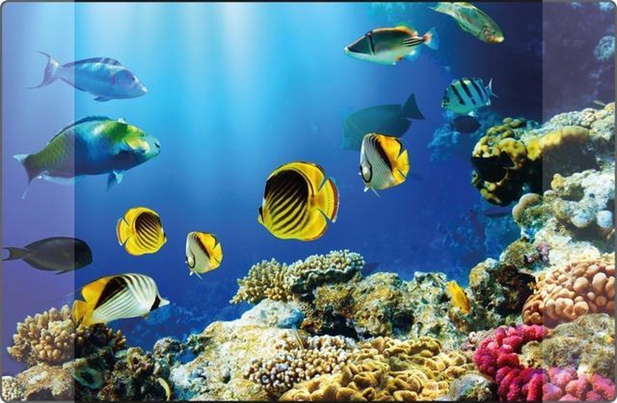 Kangaro Bureau-onderlegger PP 38 x 58 cm aquarium, K-0014D115
