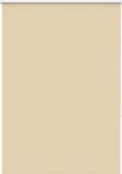 vidaXL - Rolgordijn - verduisterend - 95x175cm - stofbreedte - 90,7 cm - polyester