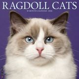 Willow Creek Ragdoll Kalender 2027 Wandkalender Dieren nl