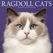 Willow Creek Ragdoll Kalender 2027 Wandkalender Dieren nl
