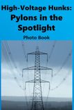 High-Voltage Hunks: Pylons in the Spotlight: Pylon Photo Book