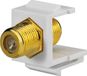 Rutenbeck Keystone F-connector wit