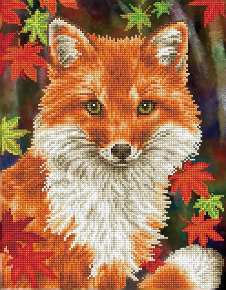 Diamond Dotz Schilderij, Tussenset, DD9, Foxy, 35 x 45cm