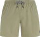 Protest Prtyessine Zwembroek Heren Artichoke Green XL