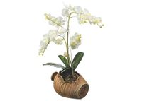 AG Design SM 3430 Orchidee in een pot, muurstickers, Colorful, 42, 5 x 65 cm