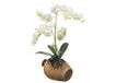 AG Design SM 3430 Orchidee in een pot, muurstickers, Colorful, 42, 5 x 65 cm