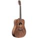 J.N Guitars Dovern Series DOV-D guitare acoustique