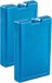 Plasticforte 1000 grams koelelementen - 2 stuks - Blauw - Kunststof - Sneeuwvlokken print