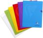 Clairefontaine 333312C Geniet Schrift Mimesys Rood - 24x32 cm - 48 Pagina's Kleine Ruitjes - Wit Papier 90 g - Polypro Omslag