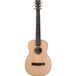Furch Little Jane LJ 11-SR guitare folk démontable avec housse