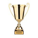 Gouden Trofee bedrukken