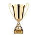 Gouden Trofee bedrukken