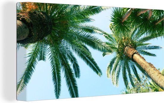 OneMillionCanvasses Canvas schilderij 160x80 cm - Palmbladeren - Multicolor - Modern