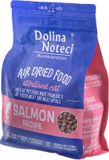 DOLINA NOTECI Superfood Sterilised Cat Zalm - gedroogd kattenvoer - 1 kg