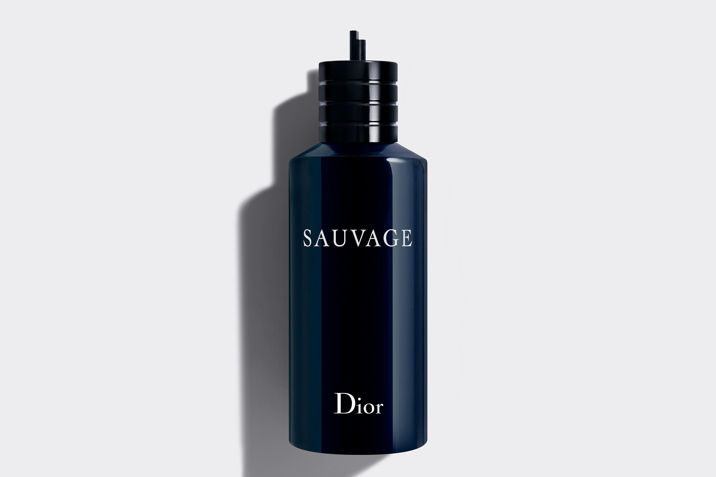 Dior Eau de Toilette / 300 ml / Men