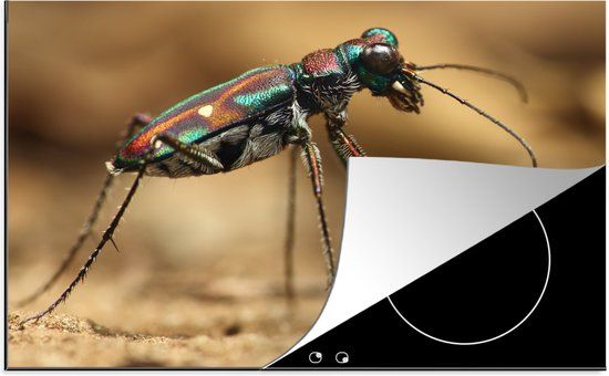 KitchenYeah® Inductie beschermer 77x51 cm - Kever - Gekleurd - Inductie kookplaat accessoire