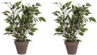 Mica Decorations Kunstplant Ficus - 2x - 40 cm - Groen