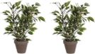 Mica Decorations Kunstplant Ficus - 2x - 40 cm - Groen