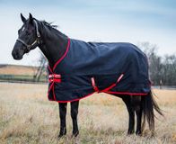 Rambo Original Turnout Medium 200g Navy 155-205