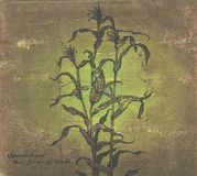 Suburban Wovenhand Laughing Stalk -Digi-