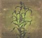 Suburban Wovenhand Laughing Stalk -Digi-