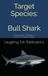 Target Species: Bull Shark: Mastering the Challenge of America's Coastal Predator