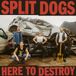 Suburban Split Dogs - Here to Destroy