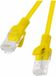 Lanberg Patchcord Netwerkkabel Rj45 Utp Cat6 0.25M Geel